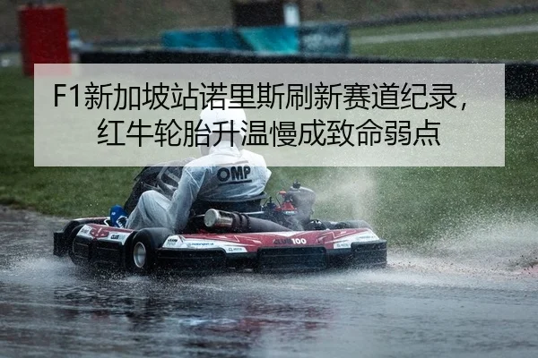 F1新加坡站诺里斯刷新赛道纪录，红牛轮胎升温慢成致命弱点